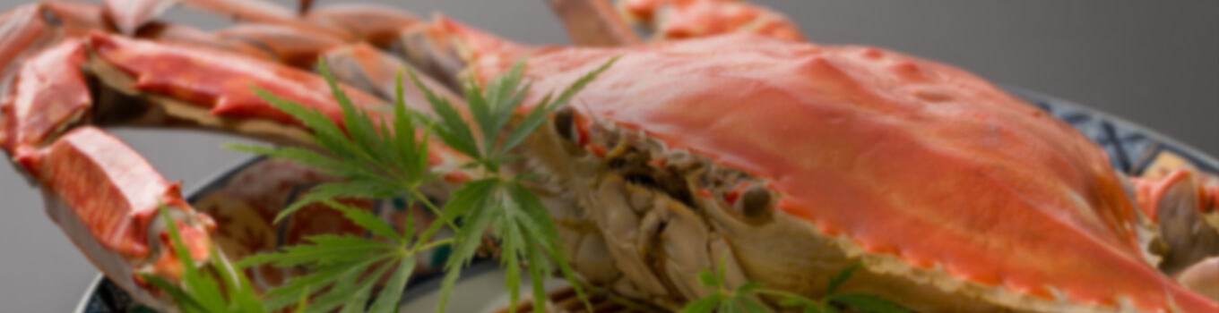 名物竹崎かにや竹崎牡蠣(冬季限定)はもちろん、有明海で採れた珍味や佐賀県産の食材にこだわった料理の数々。佐賀が誇る銘酒と共に、心ゆくまでご堪能下さい。